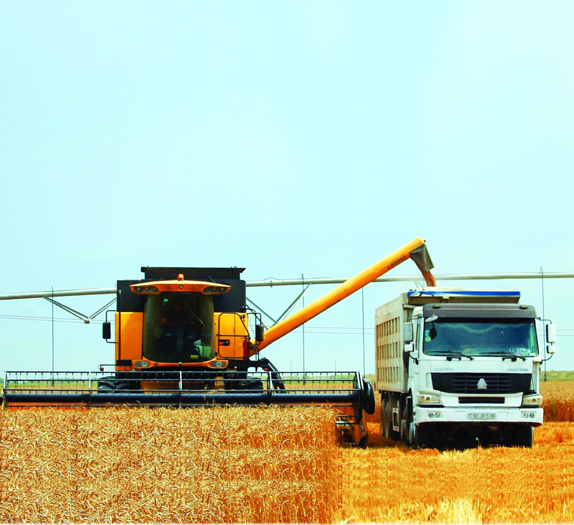 Azersun-Kend-Teserrufati-Mehsullari