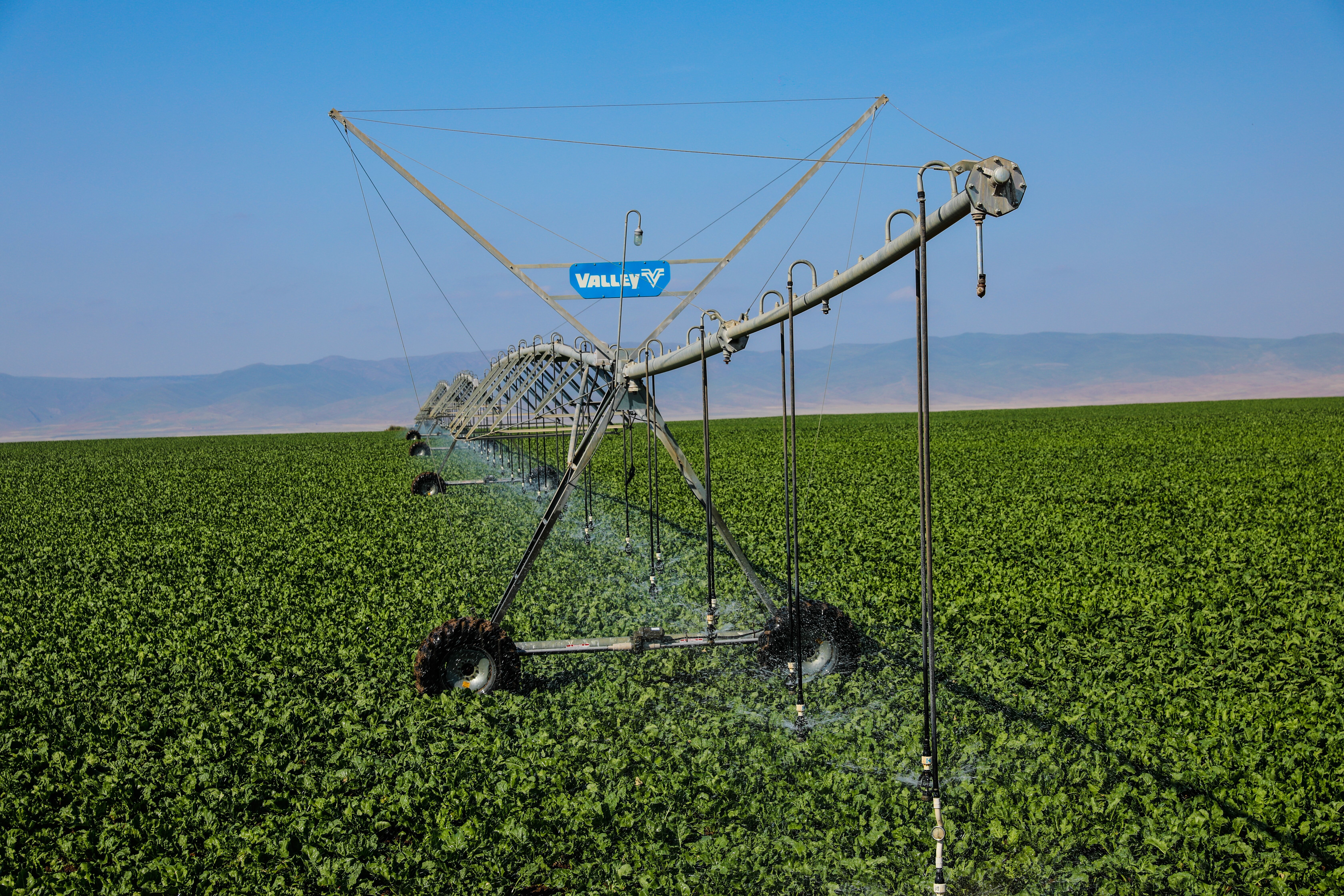 keyfiyyet-ve-qida-tehlukesizliyi-siyaseti